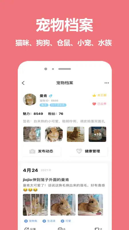 宠物王国app 截图2