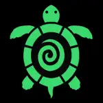 海龟汤app中文版