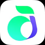 回森app