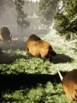 混沌边缘
