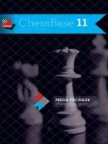 国际象棋11