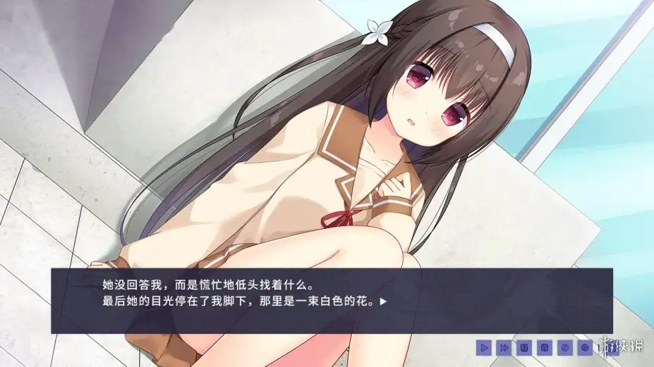 昙花 截图3