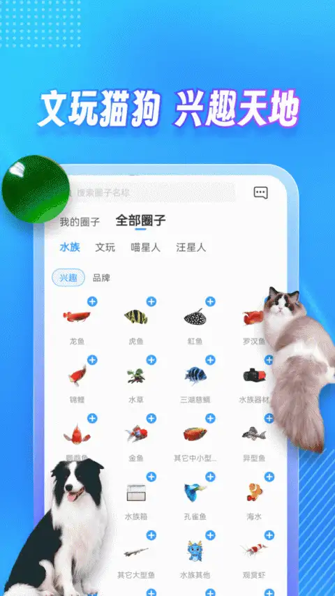 龙巅app 截图2