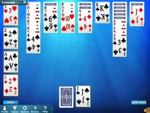 霍伊尔纸牌游戏2013 截图2