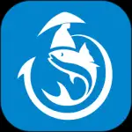钓鱼通app官方版