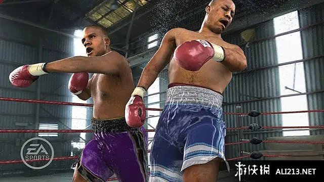 拳击之夜3 截图1