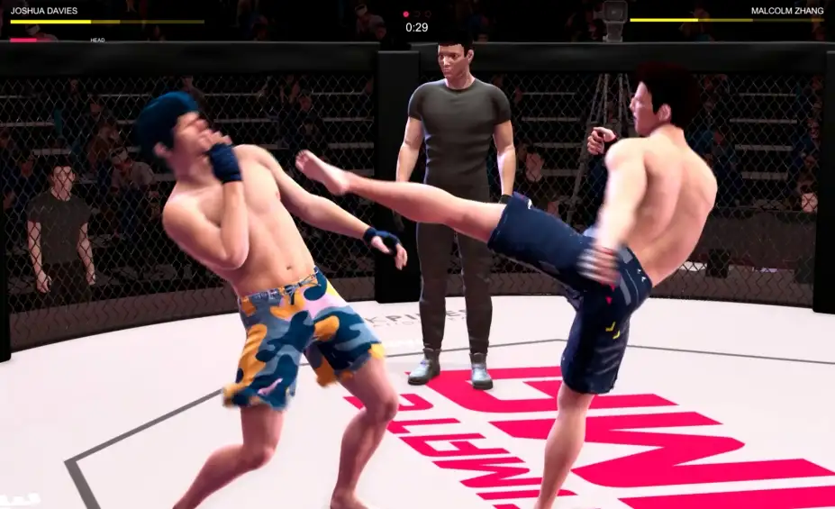 终极MMA 截图1