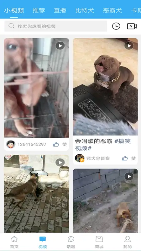 猛犬俱乐部app 截图2