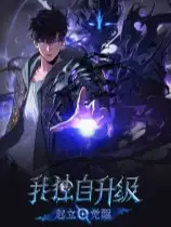 我独自升级：起立·觉醒