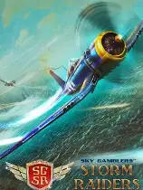 搏击长空：风暴特工队